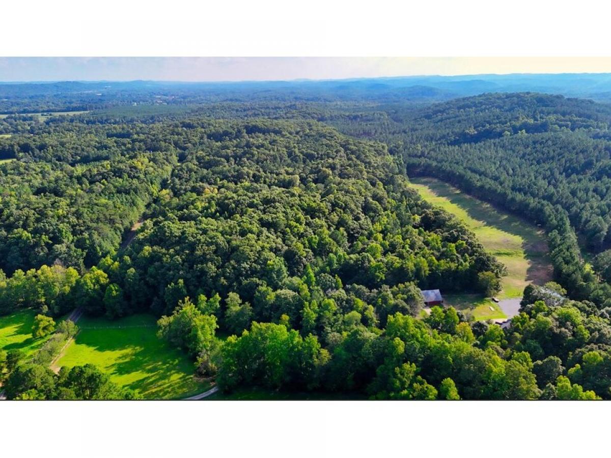 Picture of Residential Land For Sale in Charleston, Tennessee, United States