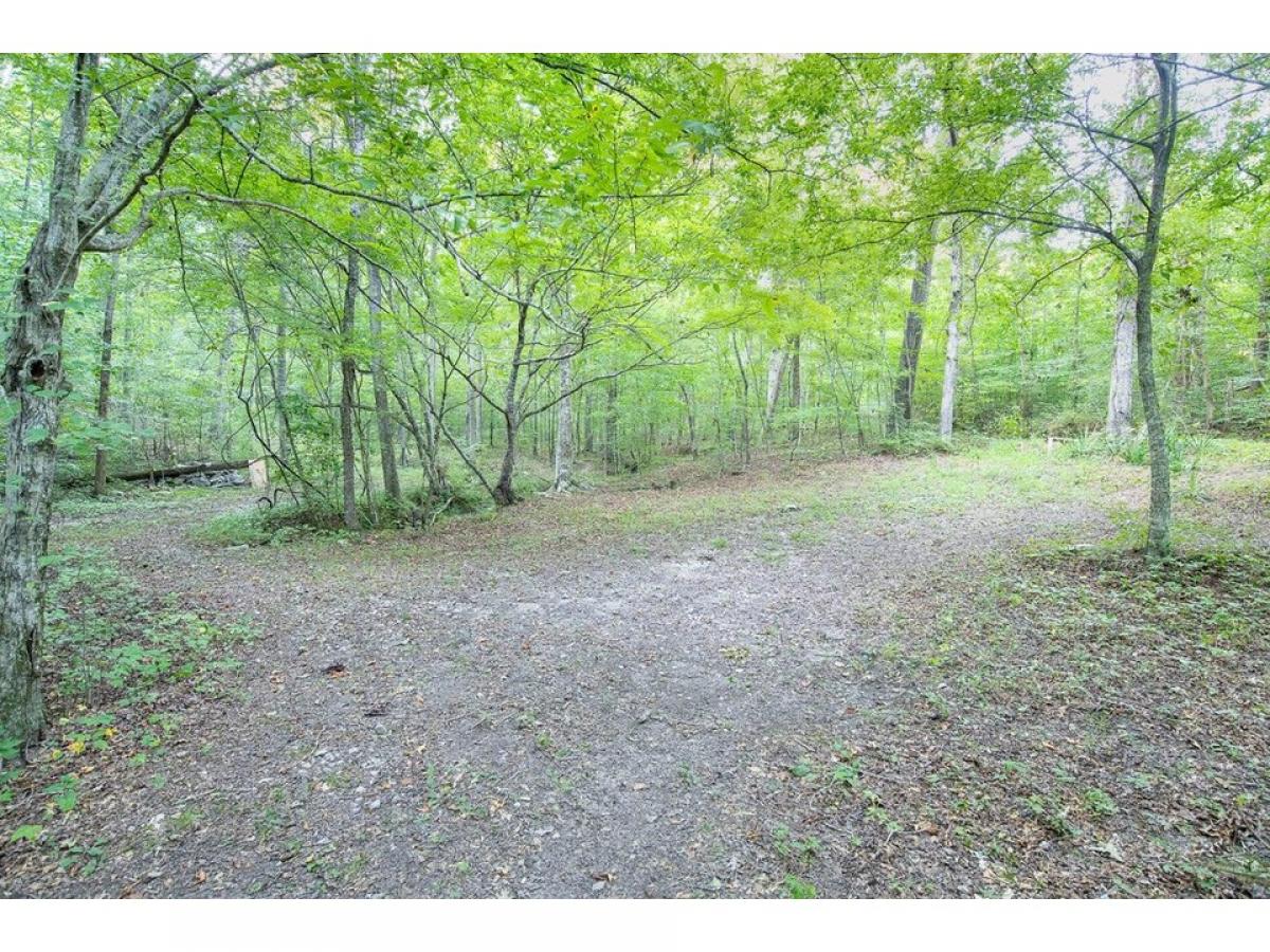 Picture of Residential Land For Sale in Lafayette, Georgia, United States