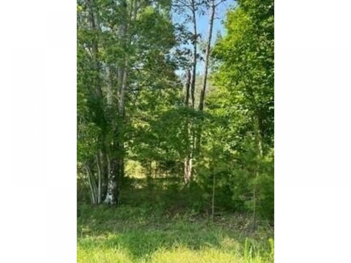 Picture of Residential Land For Sale in Dunlap, Tennessee, United States