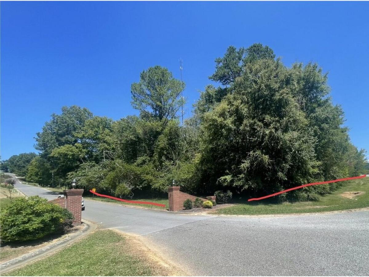 Picture of Residential Land For Sale in Summerville, Georgia, United States