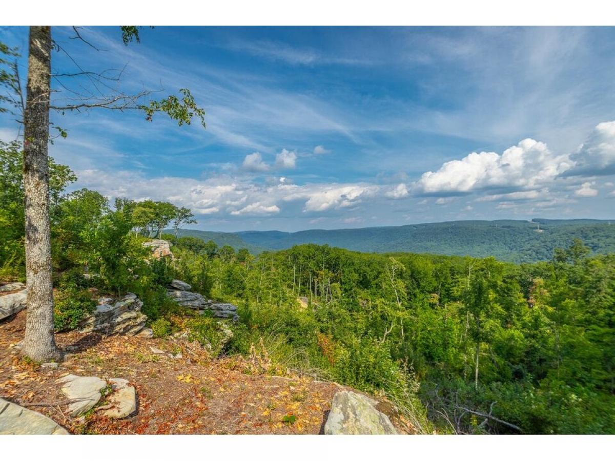 Picture of Residential Land For Sale in Guild, Tennessee, United States