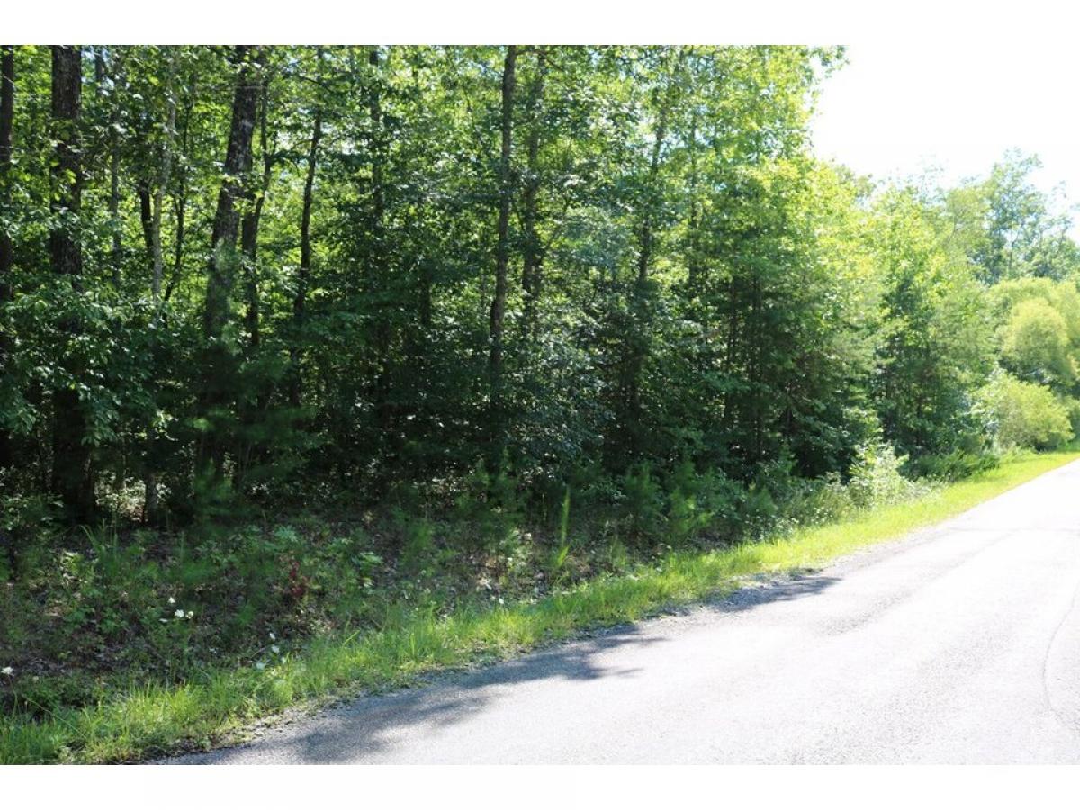 Picture of Residential Land For Sale in Sequatchie, Tennessee, United States