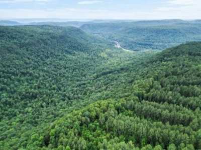 Residential Land For Sale in Guild, Tennessee