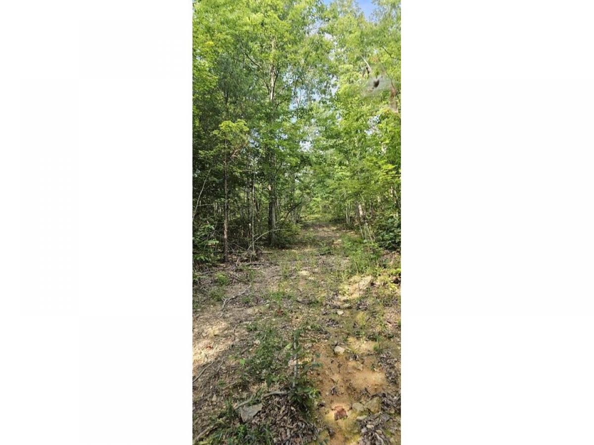 Picture of Residential Land For Sale in Pikeville, Tennessee, United States