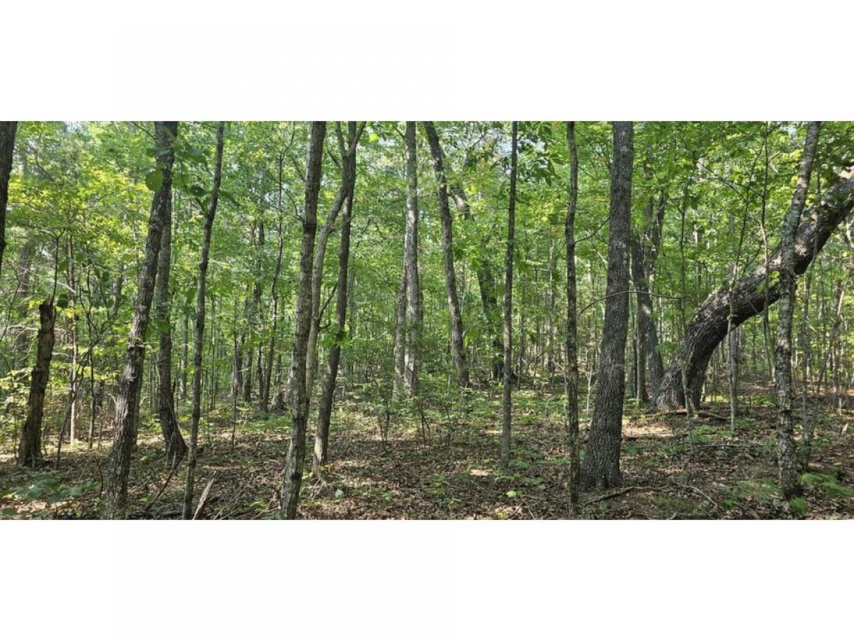 Picture of Residential Land For Sale in Pikeville, Tennessee, United States