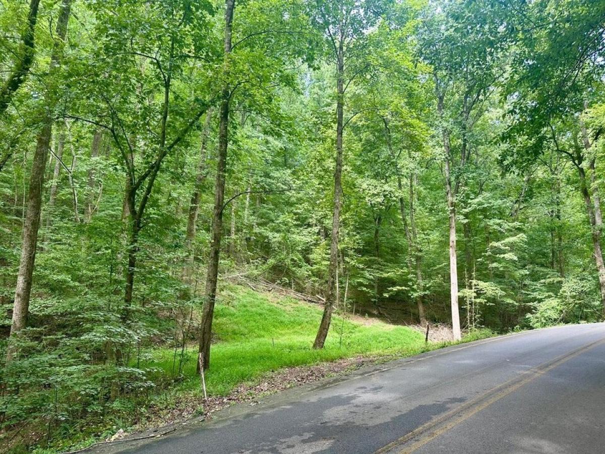 Picture of Residential Land For Sale in Hixson, Tennessee, United States