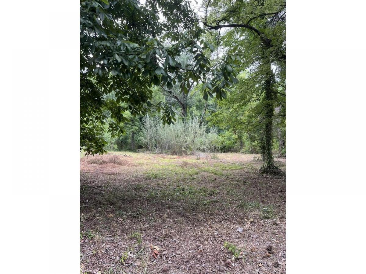 Picture of Residential Land For Sale in Rossville, Georgia, United States