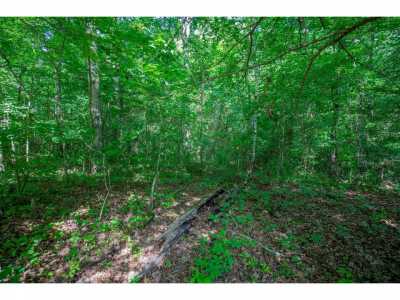 Residential Land For Sale in Birchwood, Tennessee