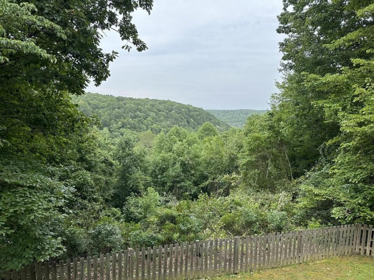 Picture of Home For Sale in Signal Mountain, Tennessee, United States