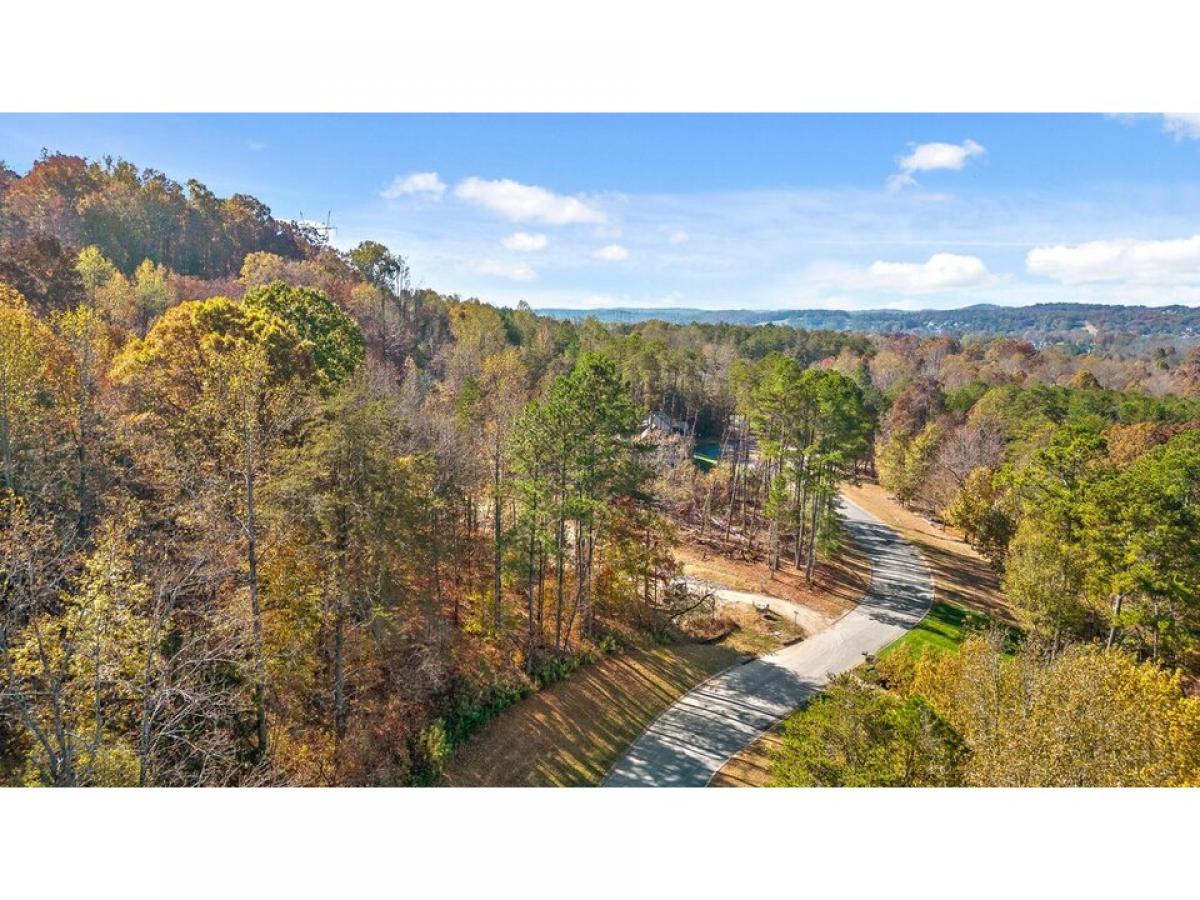 Picture of Residential Land For Sale in Ooltewah, Tennessee, United States