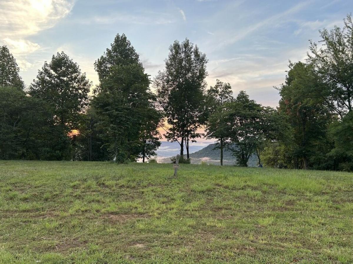 Picture of Residential Land For Sale in Jasper, Tennessee, United States