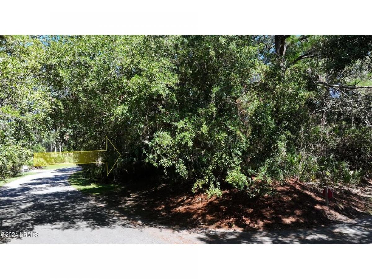 Picture of Residential Land For Sale in Fripp Island, South Carolina, United States