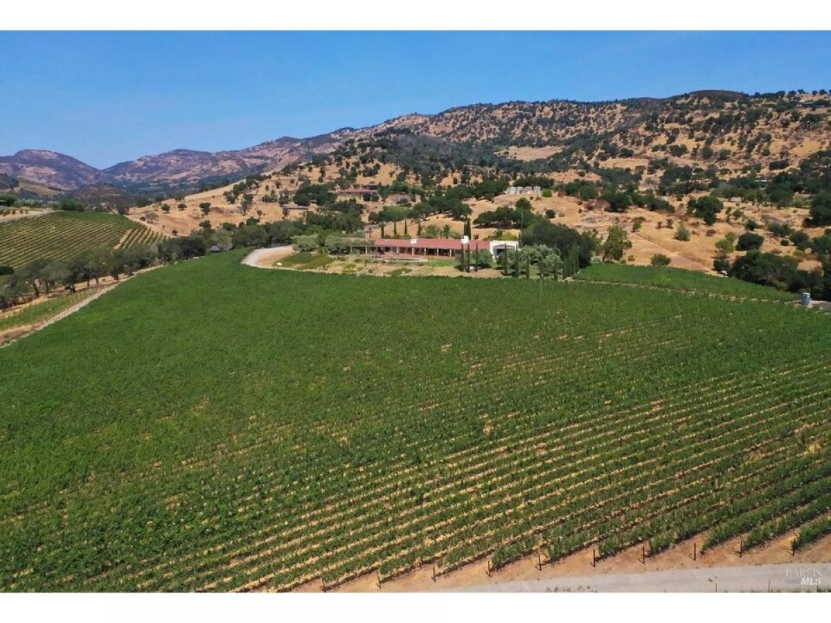 Picture of Home For Sale in Napa, California, United States