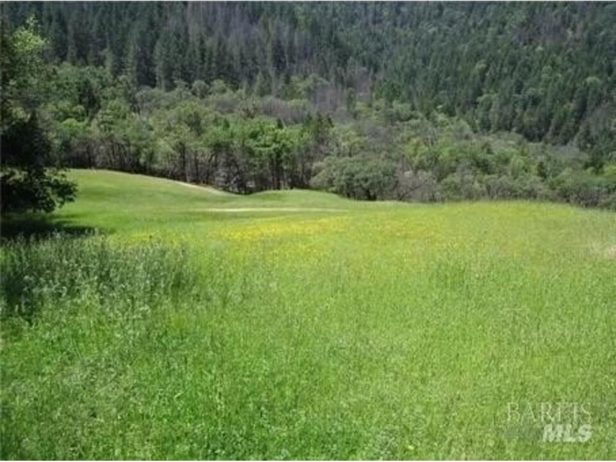 Picture of Residential Land For Sale in Upper Lake, California, United States