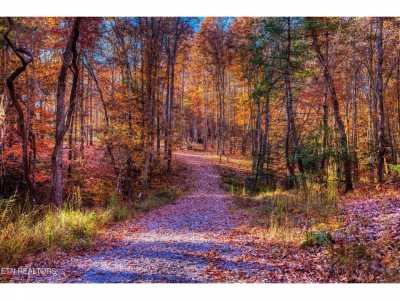 Residential Land For Sale in Allardt, Tennessee