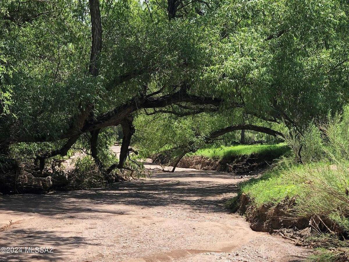 Picture of Residential Land For Sale in Amado, Arizona, United States