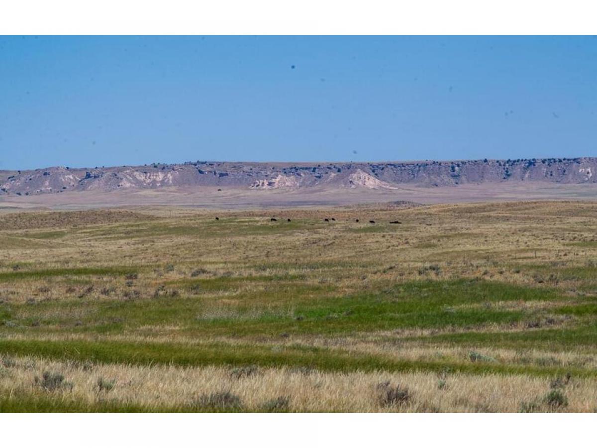 Picture of Residential Land For Sale in Torrington, Wyoming, United States