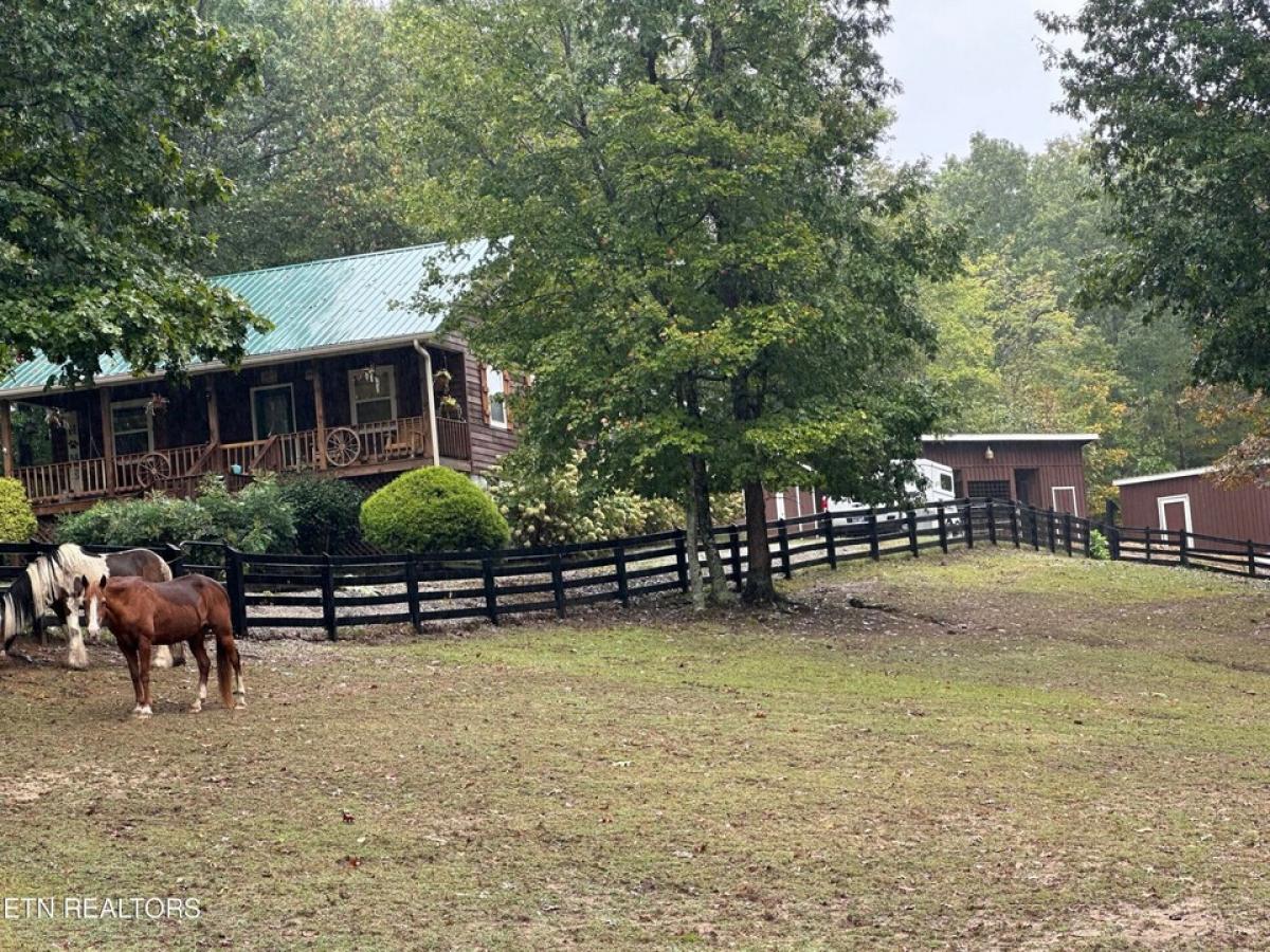 Picture of Home For Sale in Jamestown, Tennessee, United States