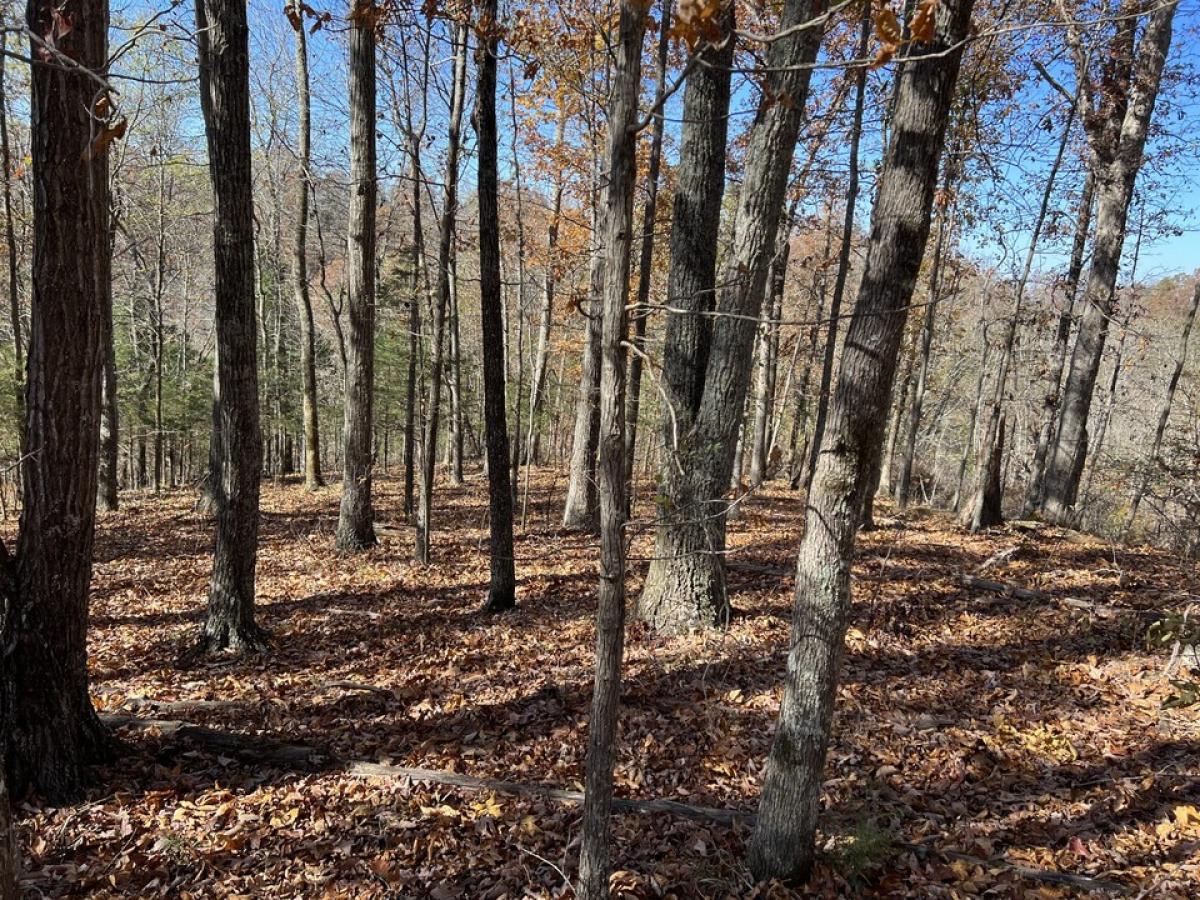 Picture of Residential Land For Sale in Celina, Tennessee, United States