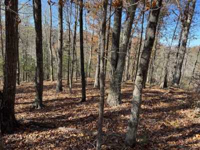 Residential Land For Sale in Celina, Tennessee