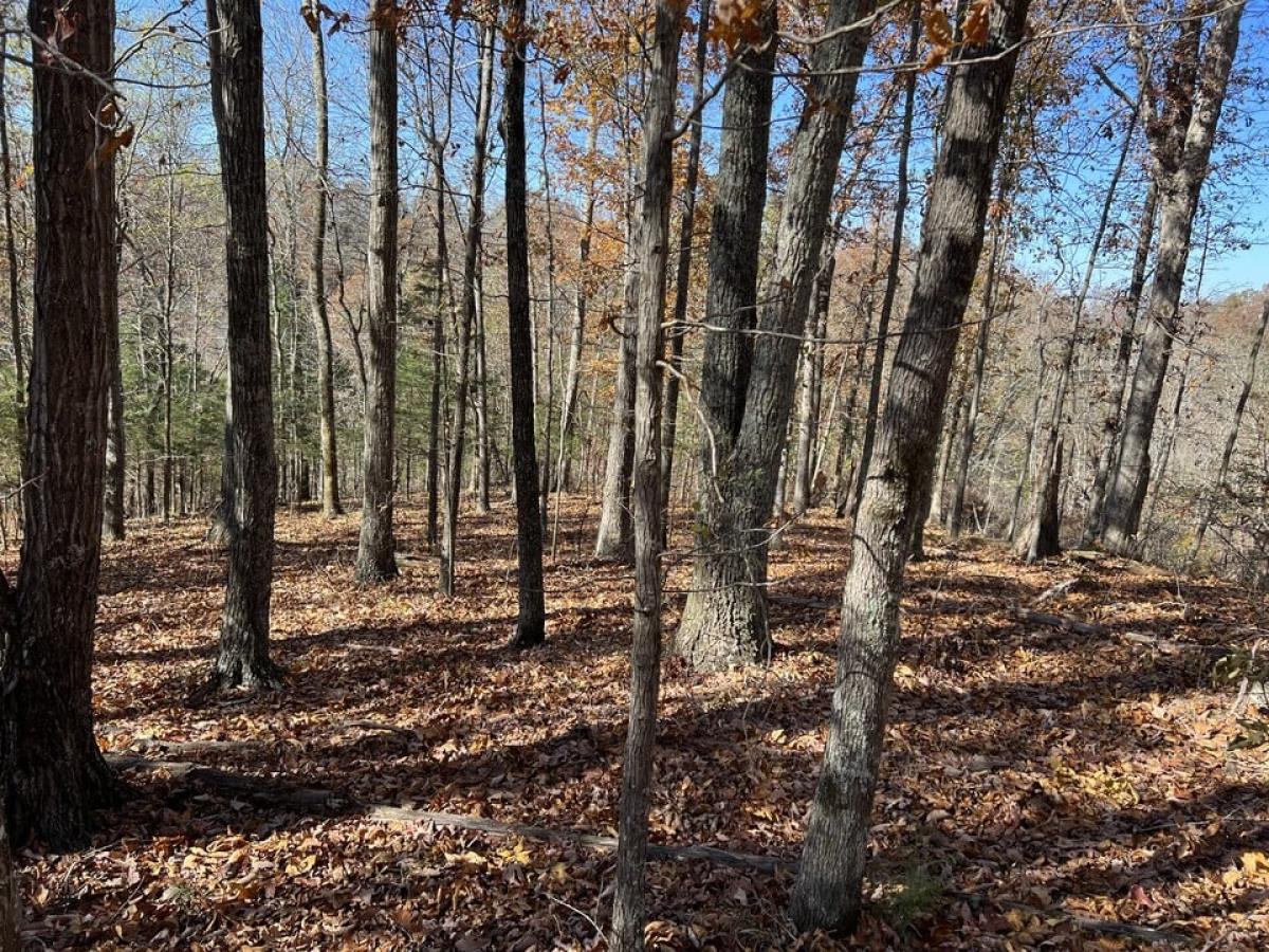 Picture of Residential Land For Sale in Celina, Tennessee, United States