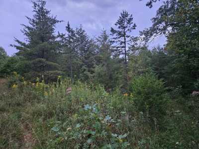 Residential Land For Sale in Wilder, Tennessee