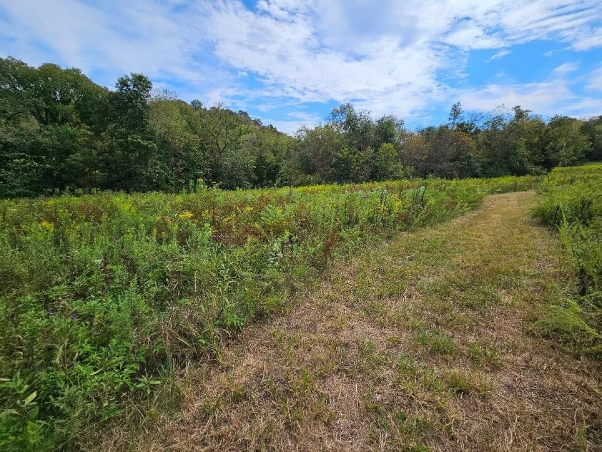 Picture of Residential Land For Sale in Buffalo Valley, Tennessee, United States