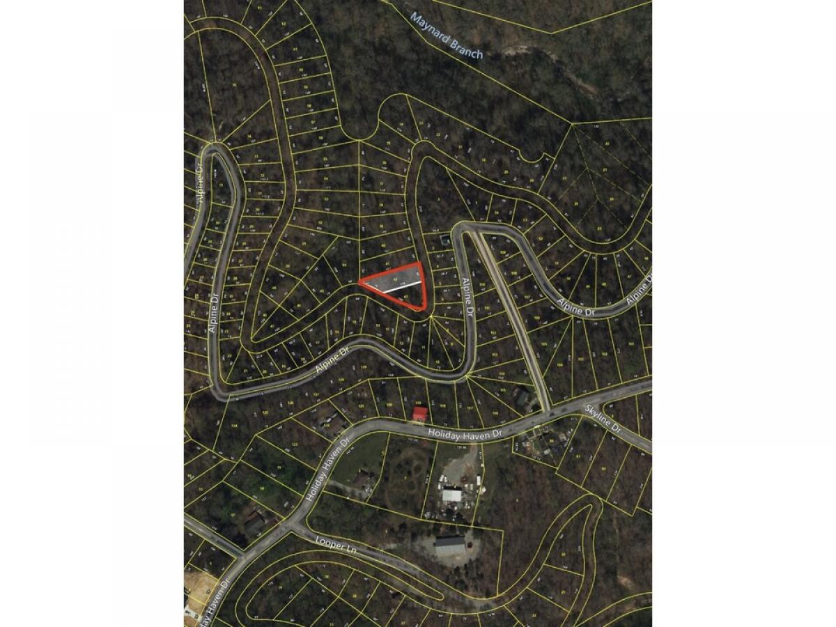 Picture of Residential Land For Rent in Smithville, Tennessee, United States