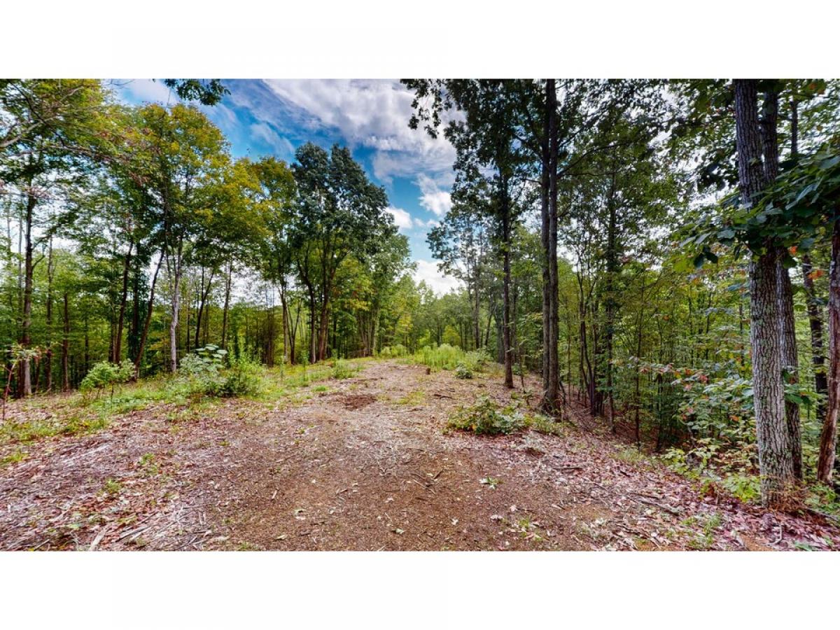 Picture of Residential Land For Sale in Linden, Tennessee, United States