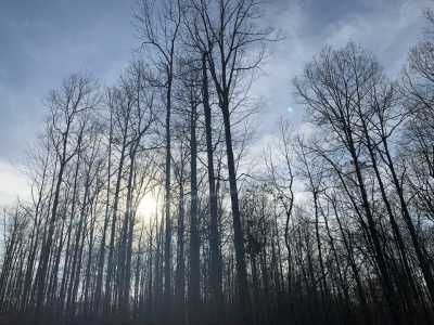 Residential Land For Sale in Mc Ewen, Tennessee