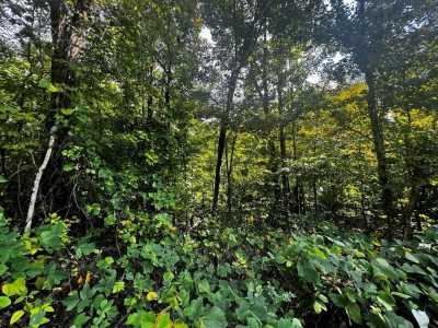 Residential Land For Sale in Jamestown, Tennessee