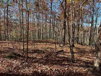 Residential Land For Sale in Celina, Tennessee