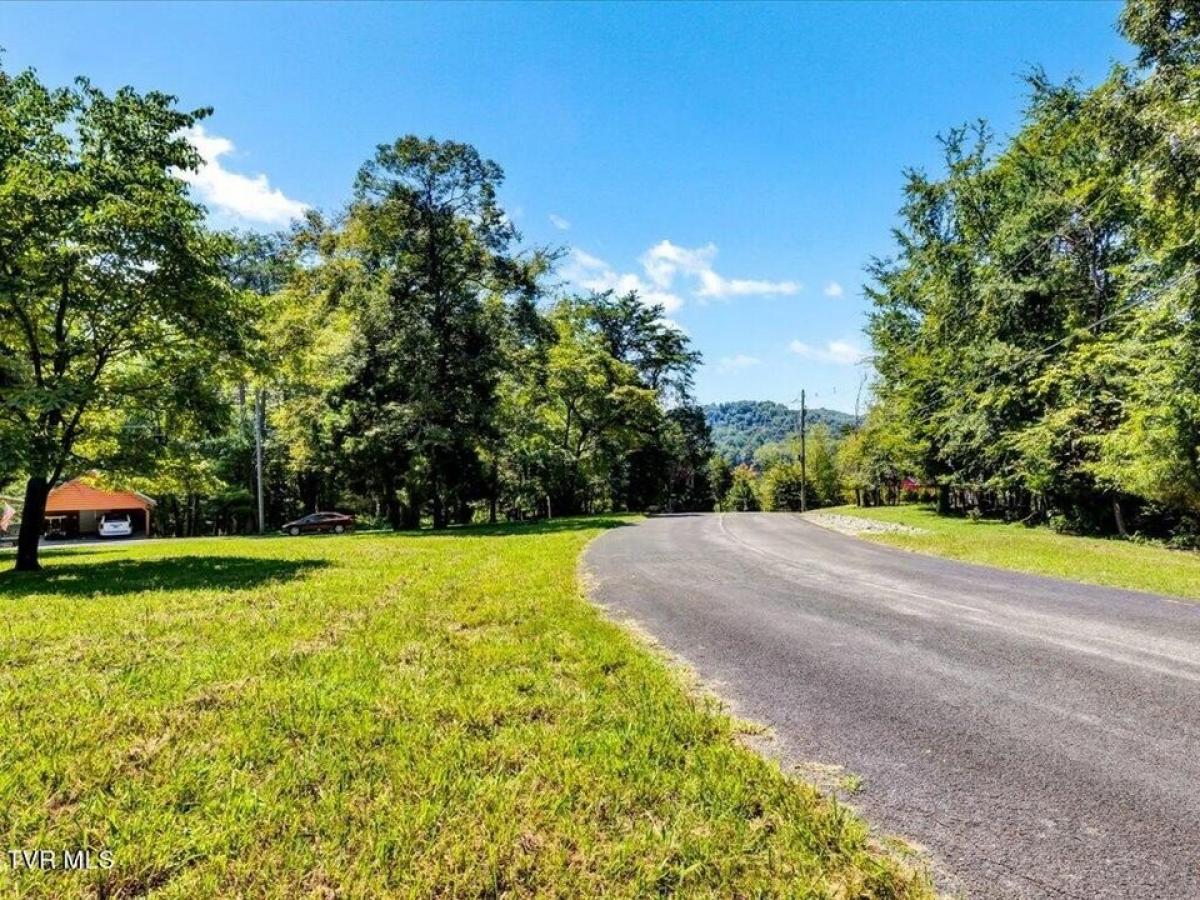 Picture of Residential Land For Sale in Mooresburg, Tennessee, United States