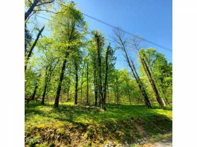 Residential Land For Sale in Mooresburg, Tennessee