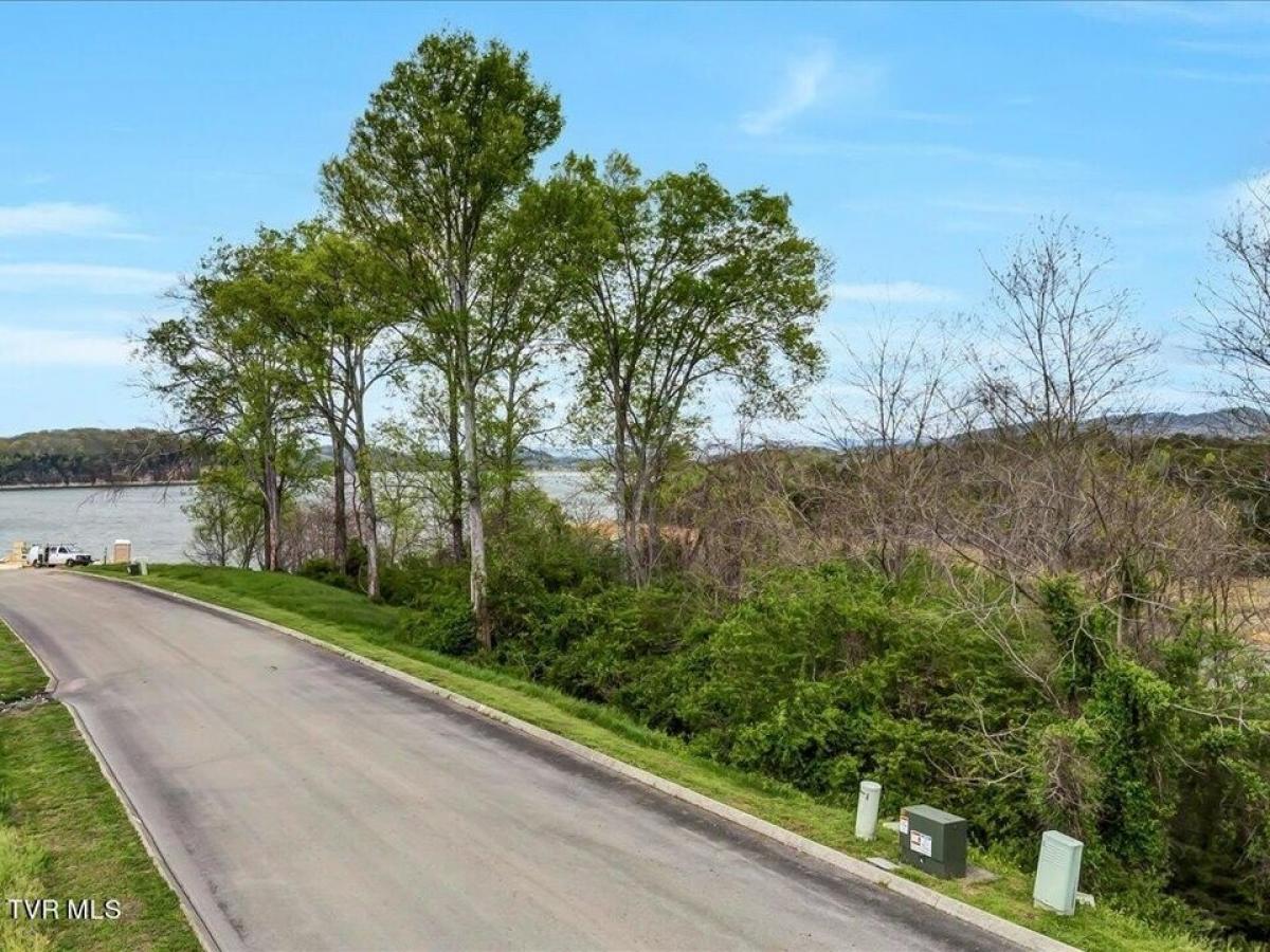 Picture of Residential Land For Sale in Russellville, Tennessee, United States