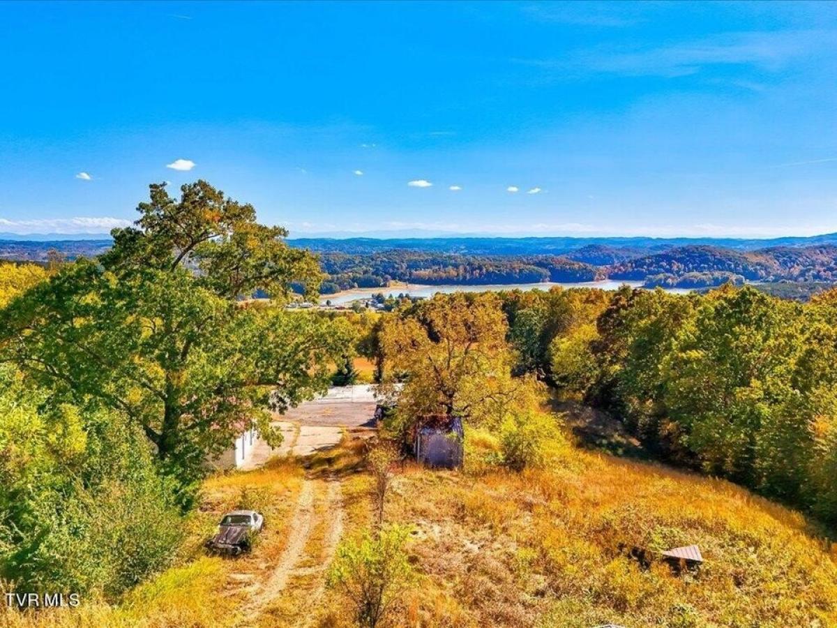 Picture of Residential Land For Sale in Mooresburg, Tennessee, United States