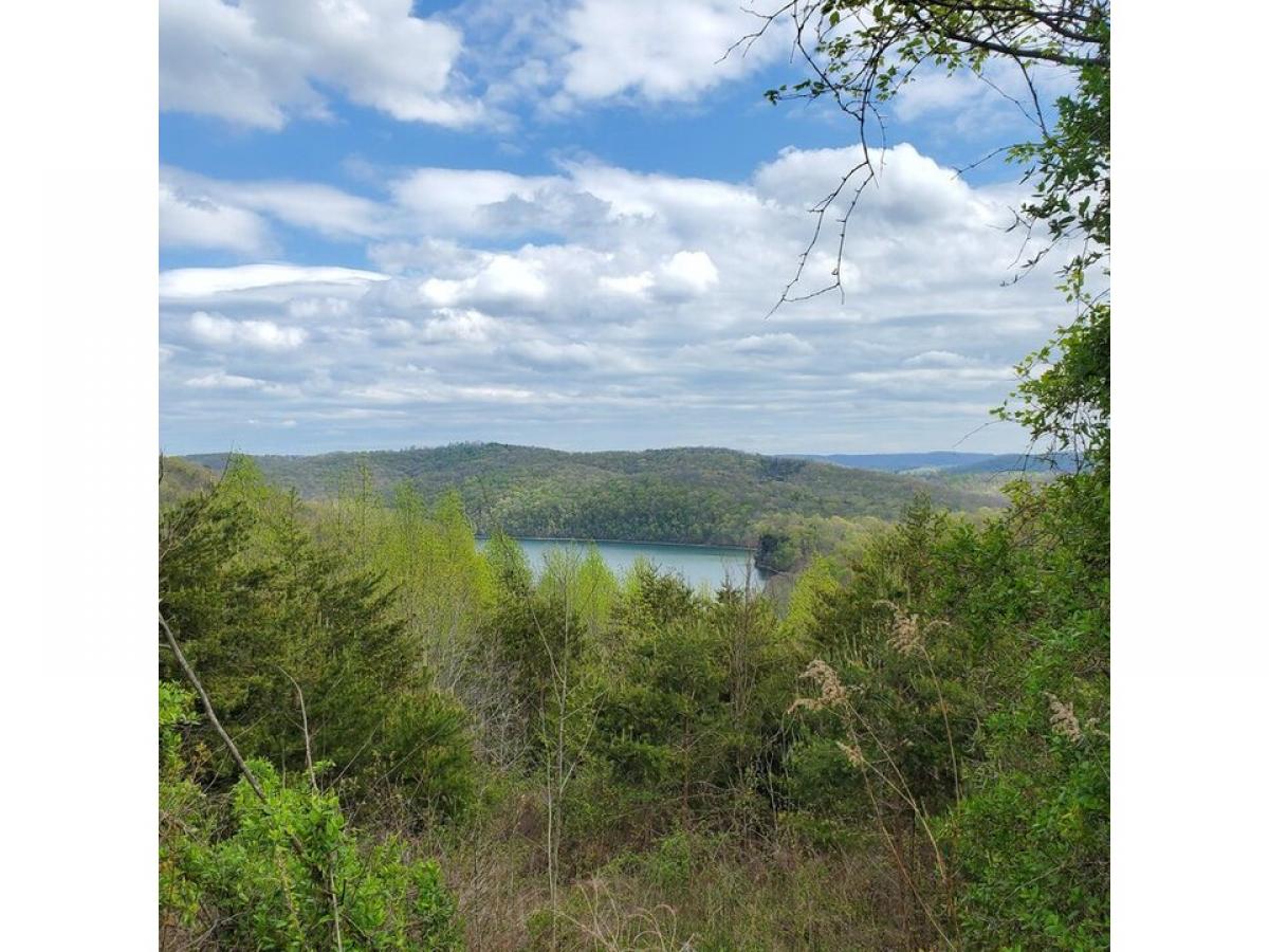 Picture of Residential Land For Sale in New Tazewell, Tennessee, United States