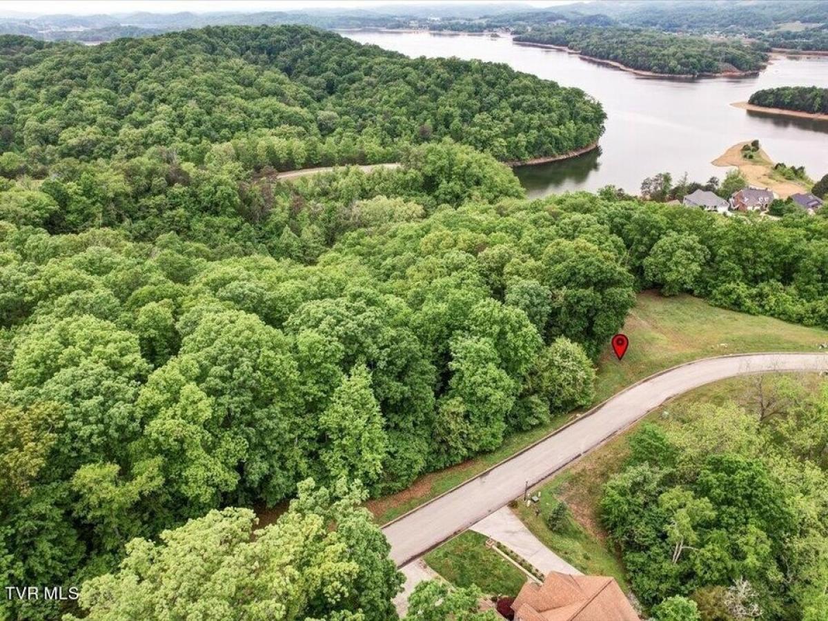 Picture of Residential Land For Sale in Russellville, Tennessee, United States