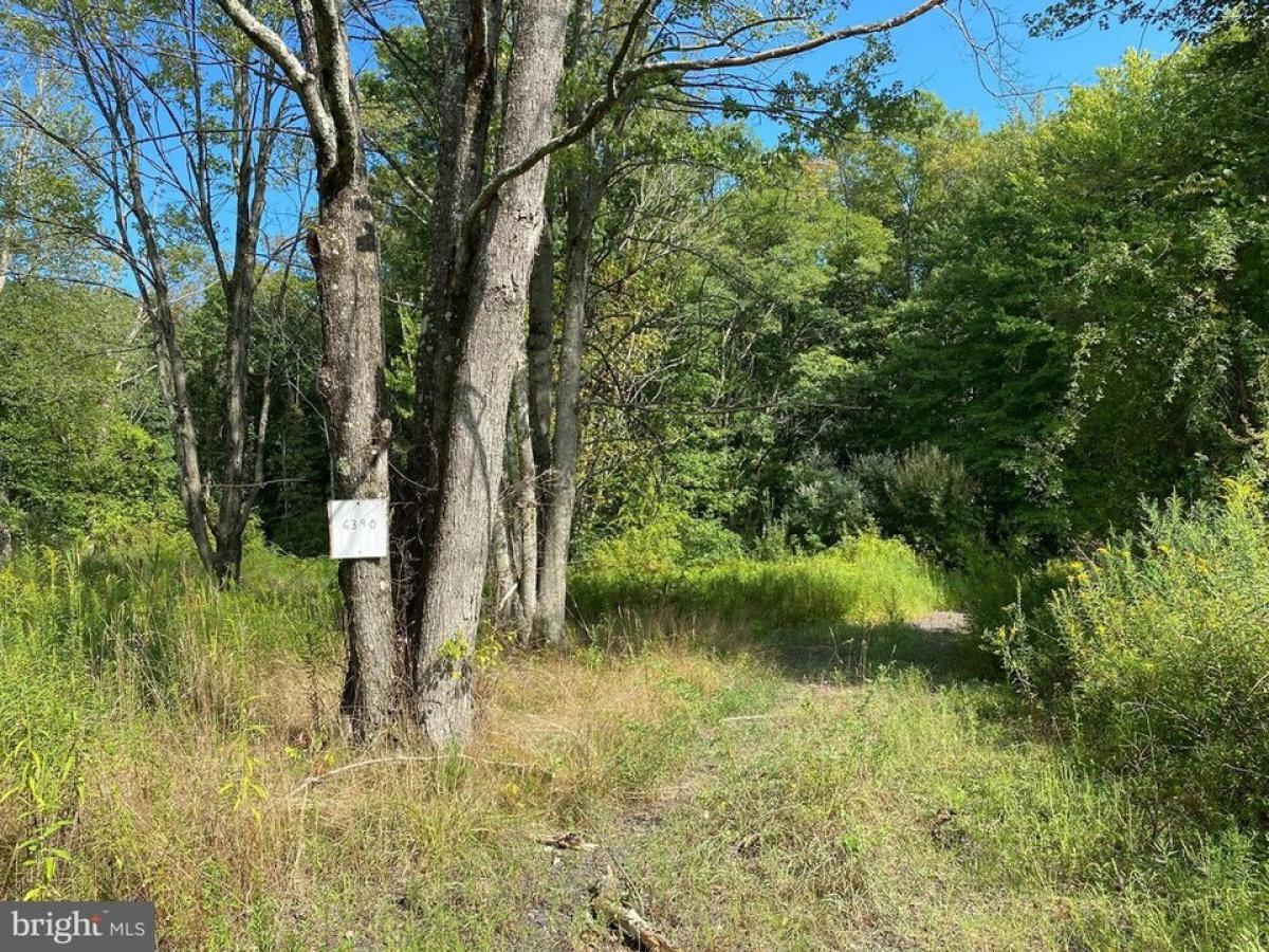 Picture of Residential Land For Sale in Doylestown, Pennsylvania, United States