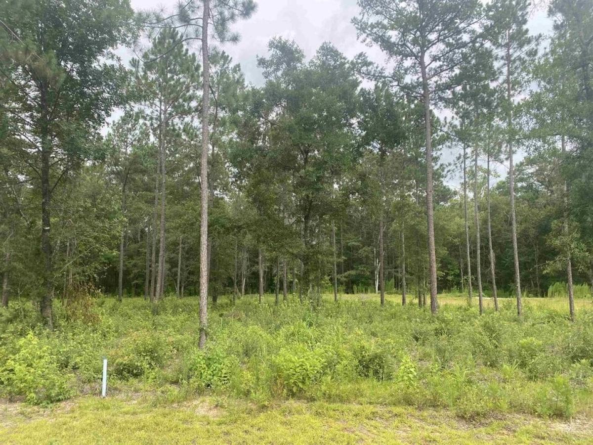 Picture of Residential Land For Sale in Tallahassee, Florida, United States