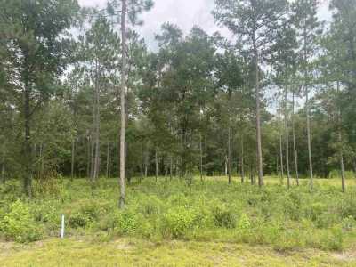 Residential Land For Sale in Tallahassee, Florida