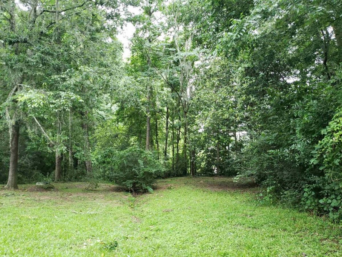 Picture of Residential Land For Sale in Tallahassee, Florida, United States