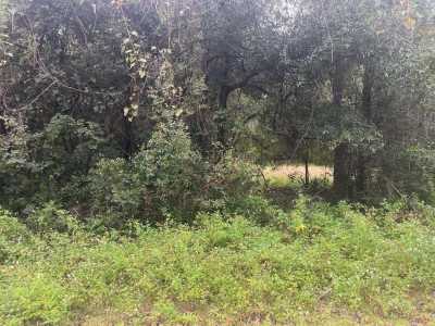 Residential Land For Sale in Crawfordville, Florida