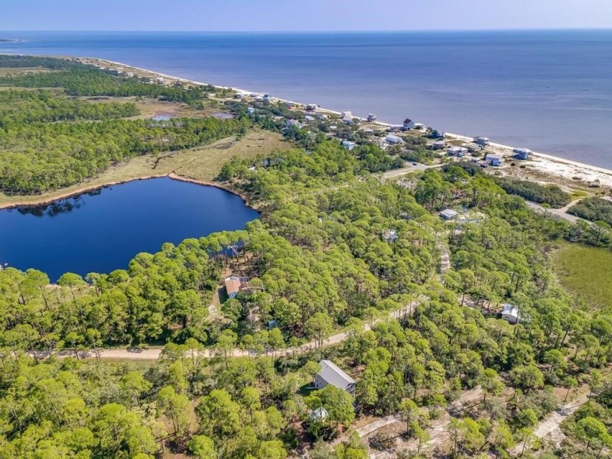 Picture of Residential Land For Sale in Alligator Point, Florida, United States