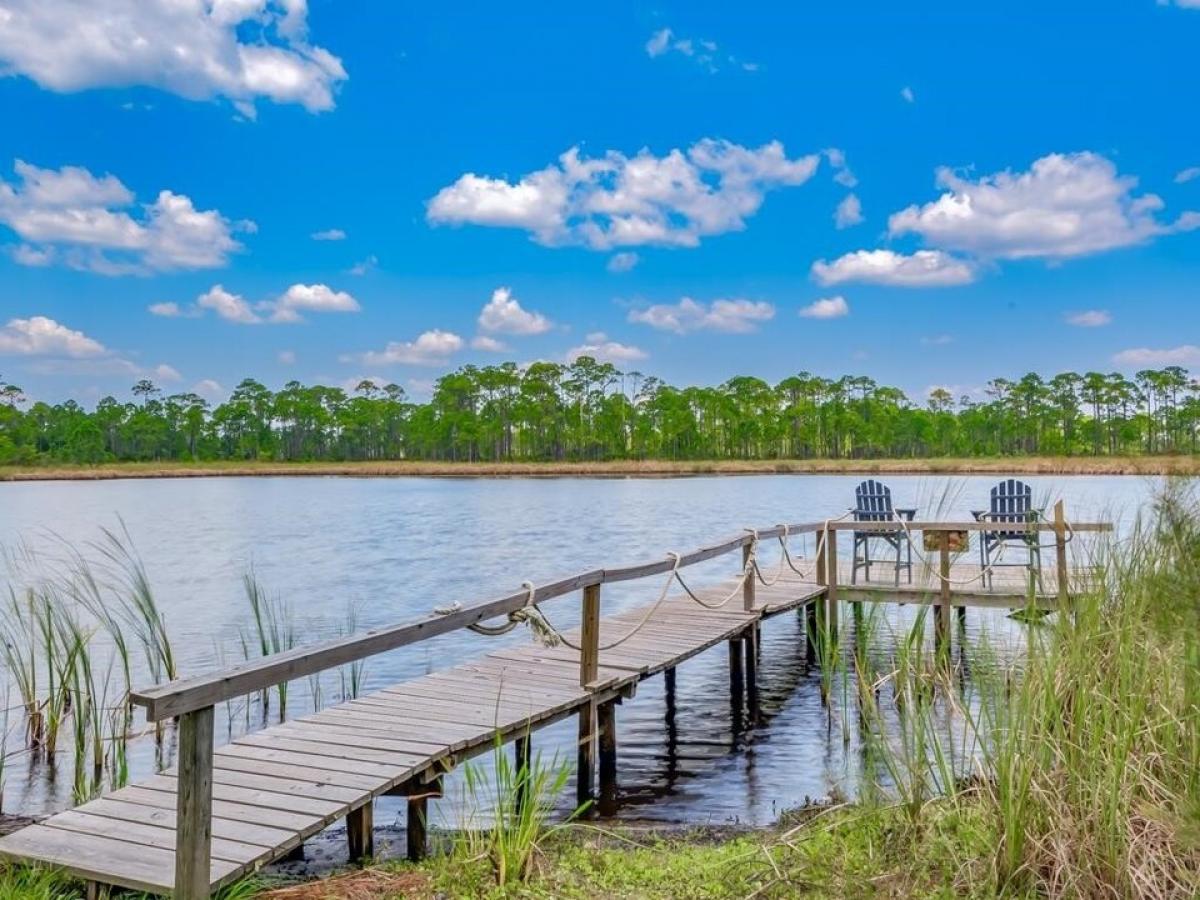 Picture of Home For Sale in Alligator Point, Florida, United States