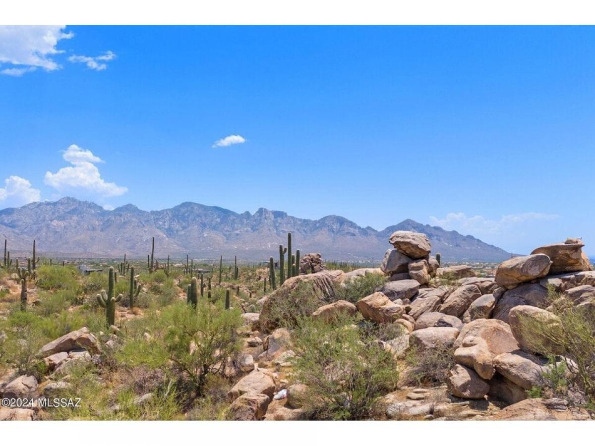 Picture of Residential Land For Sale in Oro Valley, Arizona, United States