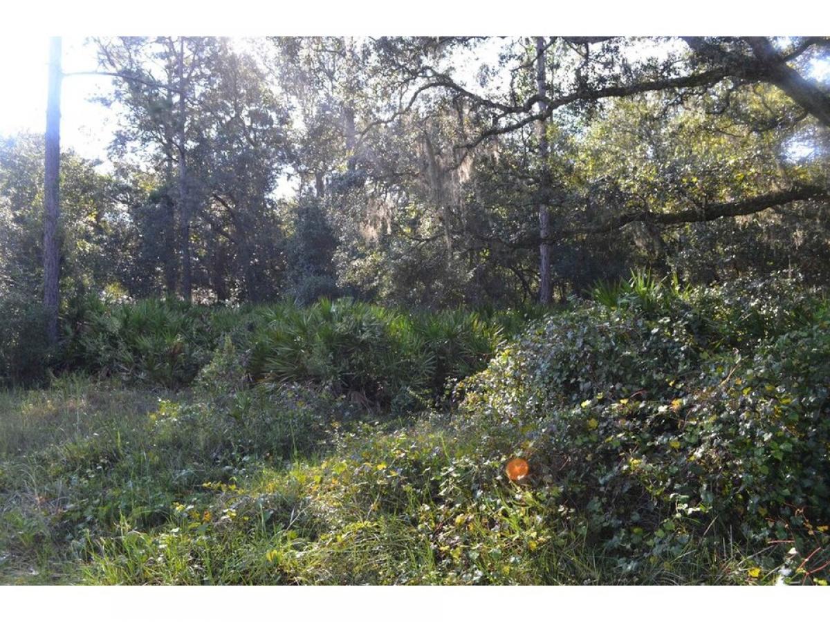 Picture of Residential Land For Sale in Elkton, Florida, United States