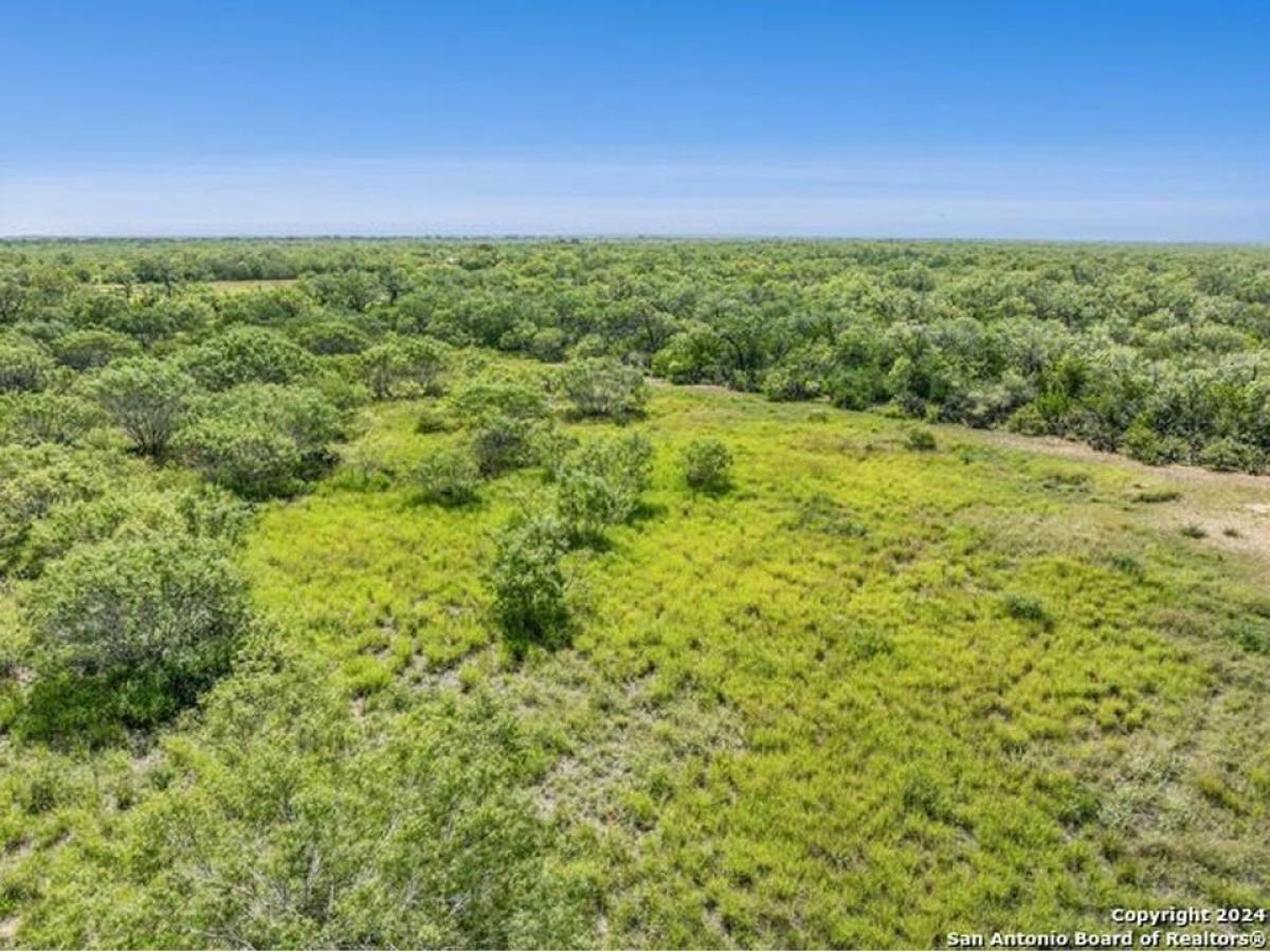 Picture of Residential Land For Sale in Christine, Texas, United States