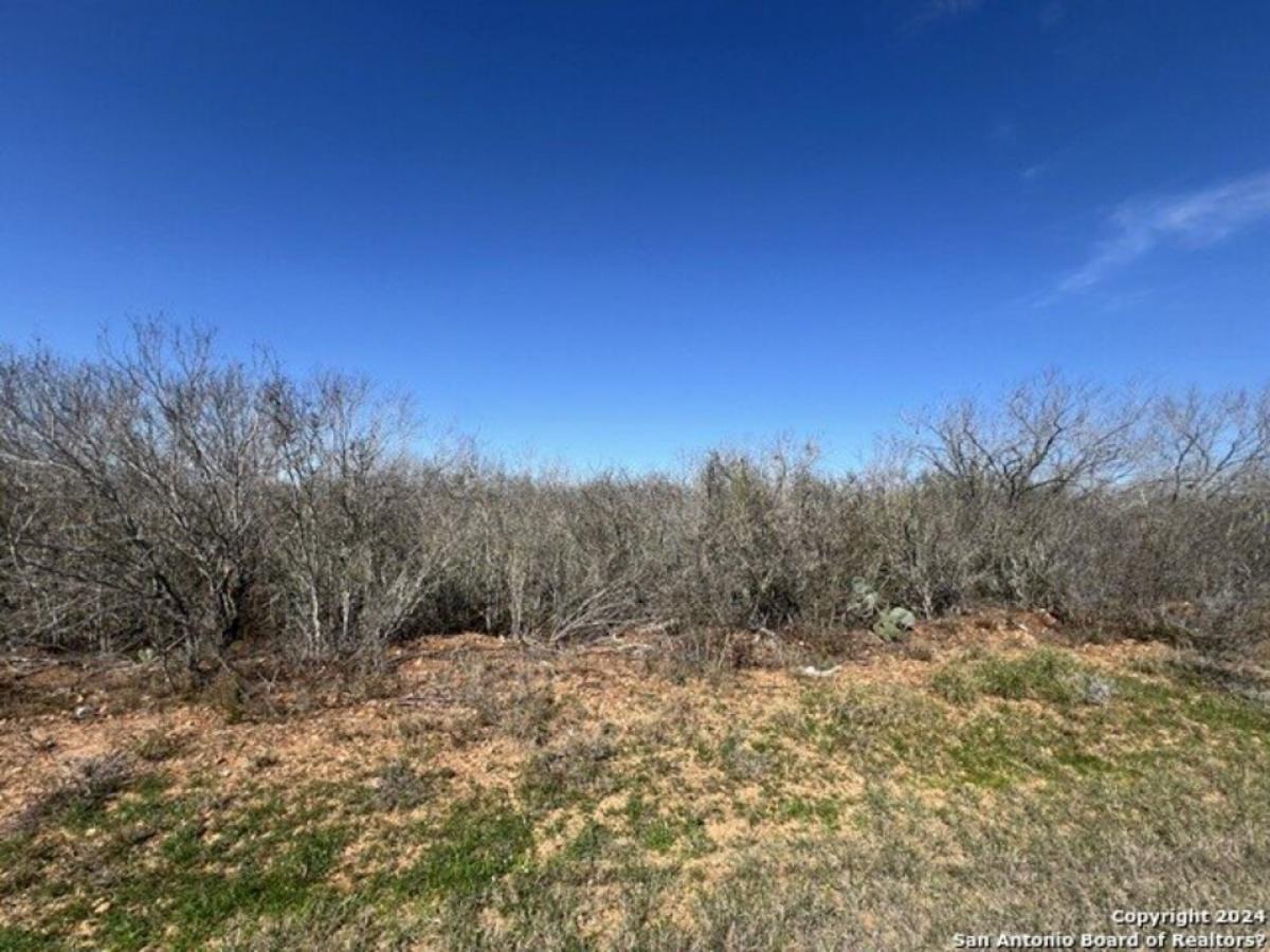 Picture of Residential Land For Sale in Devine, Texas, United States