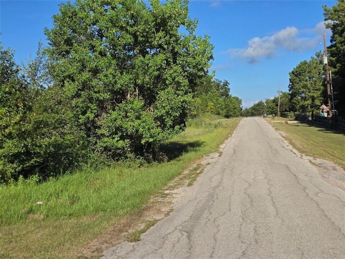 Picture of Residential Land For Sale in Willis, Texas, United States